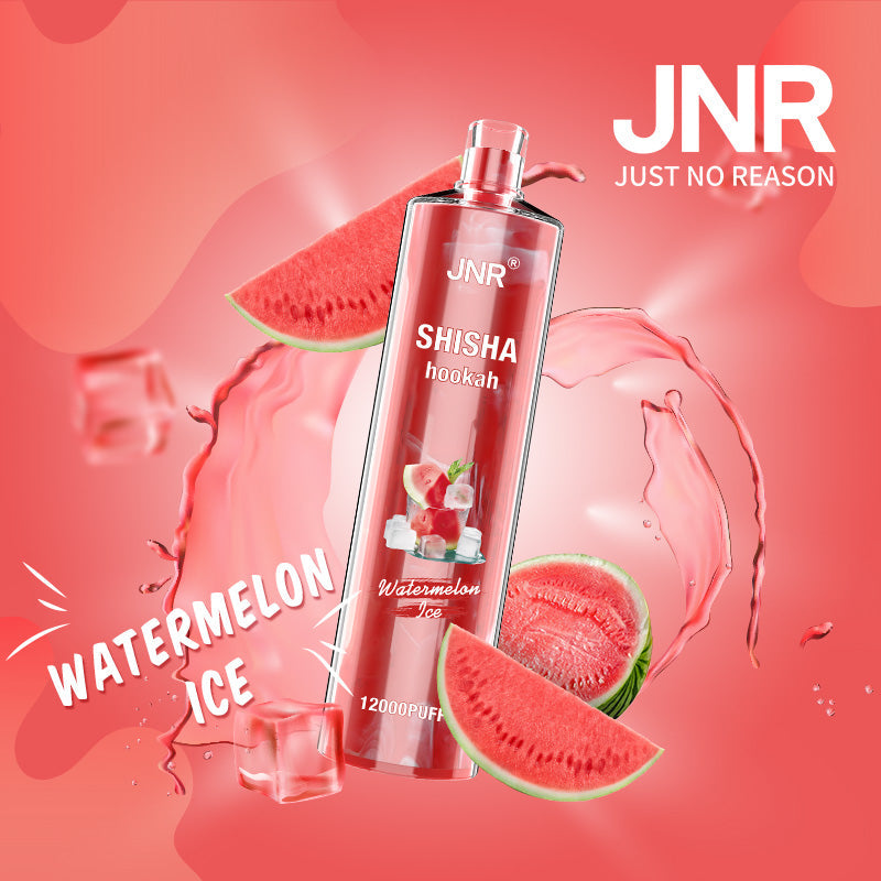 Shisha Hookah Watermelon Ice 12000 - Pack de 10
